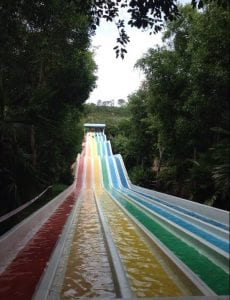 Water Slide "Slider"