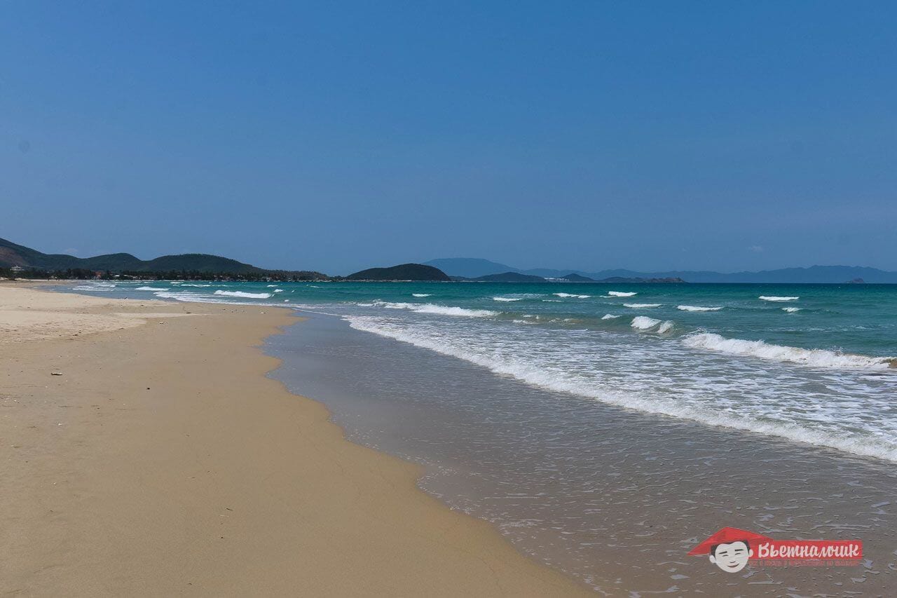 Jungle beach
