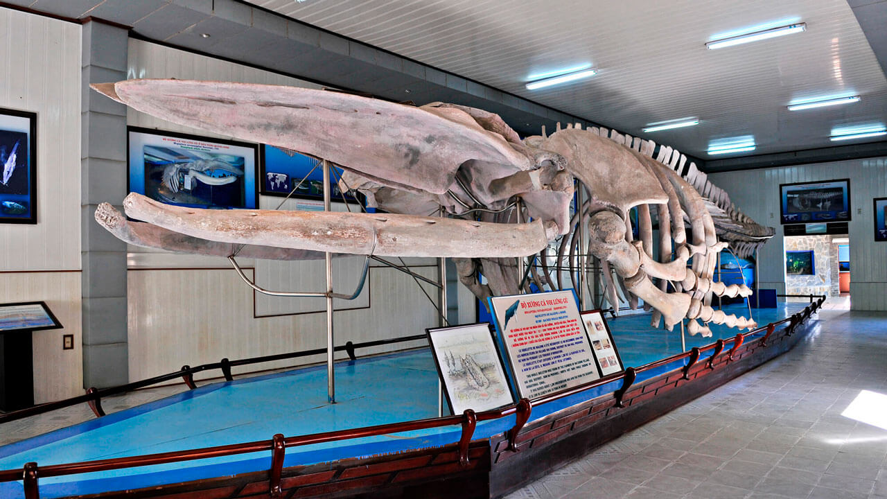 the-museum-of-oceanography-in-nha-trang-how-to-get-there-description